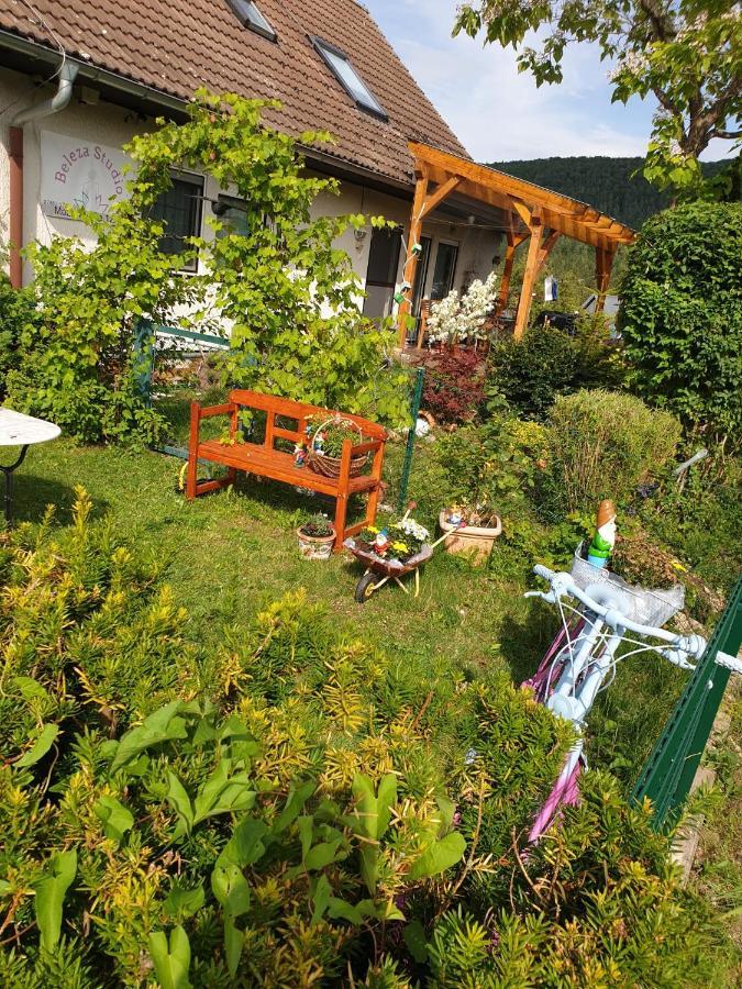 Apartment Da Elisa Rietheim-Weilheim Exterior photo